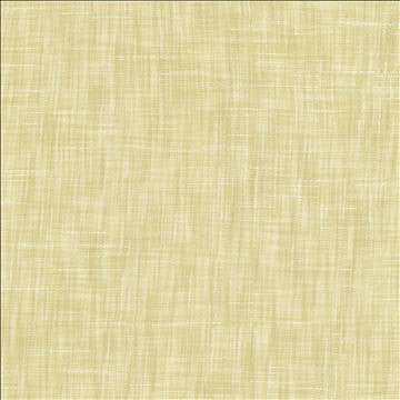 Tao Texture Champagne by Kasmir Designer Fabric