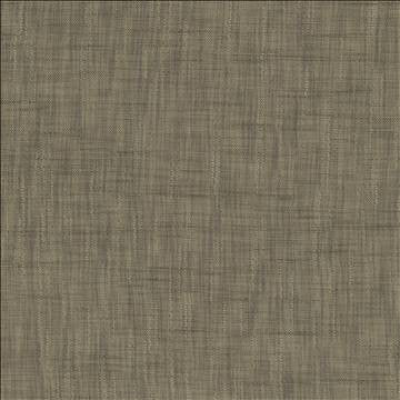 Tao Texture Zinc by Kasmir Designer Fabric