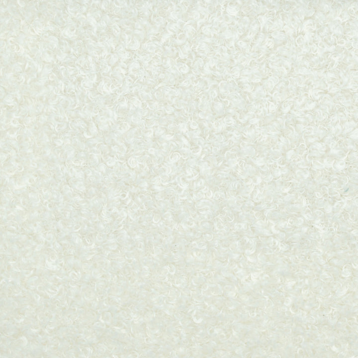 Teddy Coconut by Europatex Designer Fabric Teddy 100% Polyester 0.00" 57.00 inches - Swanky Fabrics -