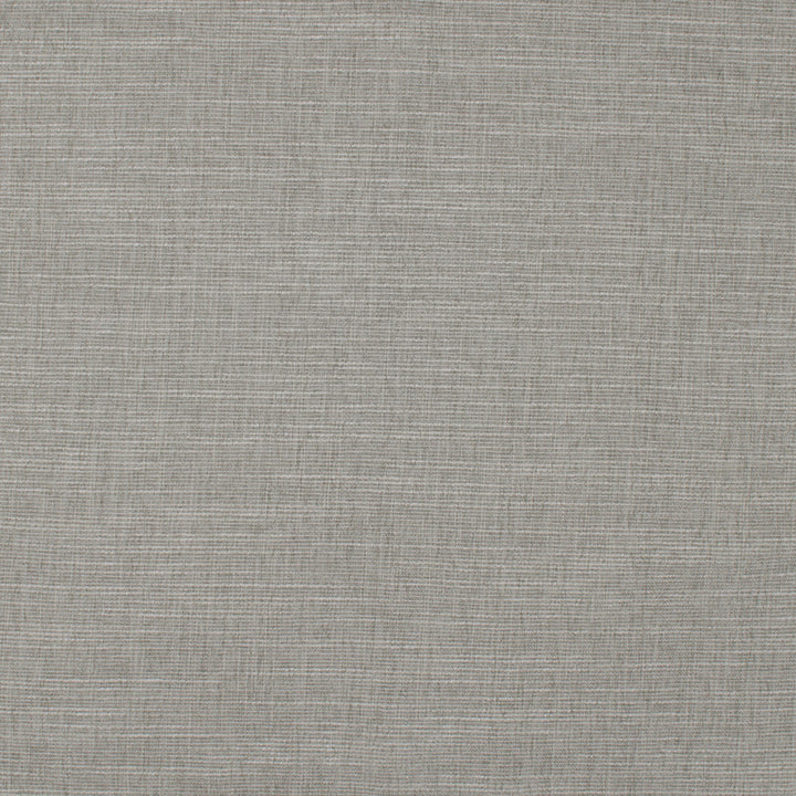 Theroy Chinchilla by Europatex Designer Fabric Theroy 65% Polyester, 35% Viscose 0.00" 55.00 inches - Swanky Fabrics -