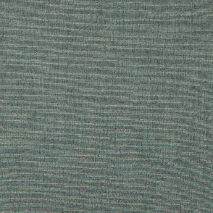 Theroy Rosemary by Europatex Designer Fabric Theroy 65% Polyester, 35% Viscose 0.00" 55.00 inches - Swanky Fabrics -