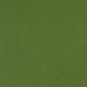 Tolstoy Celtic by Nassimi Designer Fabric