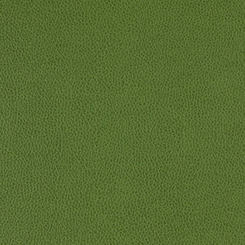 Tolstoy Celtic by Nassimi Designer Fabric See sample 100% Polyurethane  250000 Horizontal: Not Applicable and Vertical: Not Applicable 54"  - Swanky Fabrics -