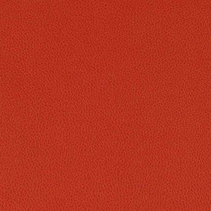 Tolstoy Crimson by Nassimi Designer Fabric