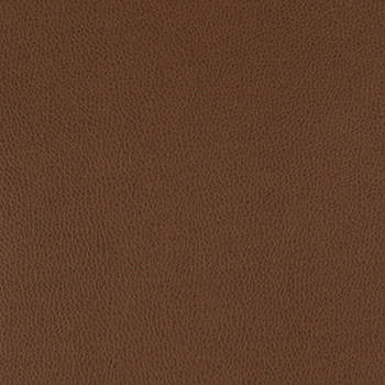 Tolstoy Earth by Nassimi Designer Fabric See sample 100% Polyurethane  250000 Horizontal: Not Applicable and Vertical: Not Applicable 54"  - Swanky Fabrics -