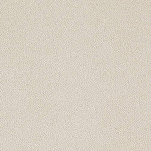 Tolstoy Feathers by Nassimi Designer Fabric