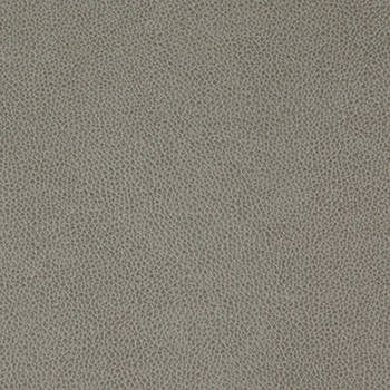 Tolstoy Flintstone WTL-007 by Nassimi Designer Fabric See sample 100% Polyurethane USA or Imported Water-based cleaning agents and foam may be used for cleaning. Cleaning by a professional cleaning service is recommended. </p><p>Repeat: Horizontal: and Vertical: 54" - Swanky Fabrics -