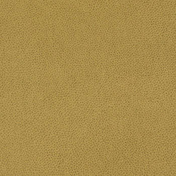 Tolstoy Hazel WTL-009 by Burch Designer Fabric our website for purchase 100% Polyurethane USA or Asia Water-based cleaning agents and foam may be used for cleaning. This fabric may also be cleaned with mild, water-free solvents. Cleaning by a professional cleaning service is recommended. Horizontal: - and Vertical: - 54" - Swanky Fabrics -