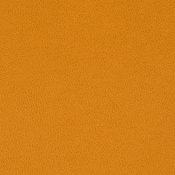 Tolstoy Kumquat WTL-010 by Burch Designer Fabric our website for purchase 100% Polyurethane USA or Asia Water-based cleaning agents and foam may be used for cleaning. This fabric may also be cleaned with mild, water-free solvents. Cleaning by a professional cleaning service is recommended. Horizontal: - and Vertical: - 54" - Swanky Fabrics -