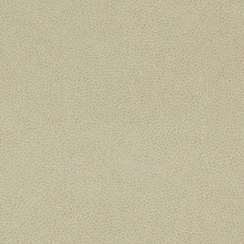 Tolstoy Parchment WTL-011 by Burch Designer Fabric our website for purchase 100% Polyurethane USA or Asia Water-based cleaning agents and foam may be used for cleaning. This fabric may also be cleaned with mild, water-free solvents. Cleaning by a professional cleaning service is recommended. Horizontal: - and Vertical: - 54" - Swanky Fabrics -