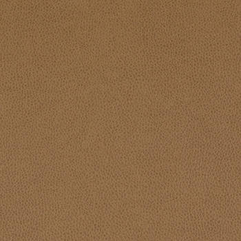 Tolstoy Ram WTL-013 by Nassimi Designer Fabric See sample 100% Polyurethane USA or Imported Water-based cleaning agents and foam may be used for cleaning. Cleaning by a professional cleaning service is recommended.  54  - Swanky Fabrics -