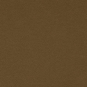 Tolstoy Timber by Nassimi Designer Fabric See sample 100% Polyurethane  250000 Horizontal: Not Applicable and Vertical: Not Applicable 54"  - Swanky Fabrics -