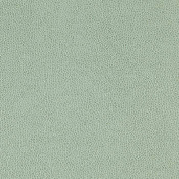 Tolstoy Vista WTL-017 by Nassimi Designer Fabric See sample 100% Polyurethane USA or Imported Water-based cleaning agents and foam may be used for cleaning. Cleaning by a professional cleaning service is recommended.  54  - Swanky Fabrics -