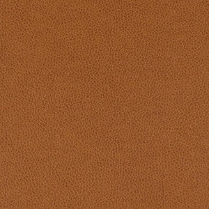 Tolstoy Whiskey by Nassimi Designer Fabric