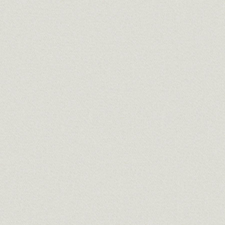 Uprush # 629 Snowflake by Maxwell Designer Fabric Home & Garden-Act Viii 100% SOLUTION DYED POLYOLEFIN INDIA 57.1" - Swanky Fabrics -