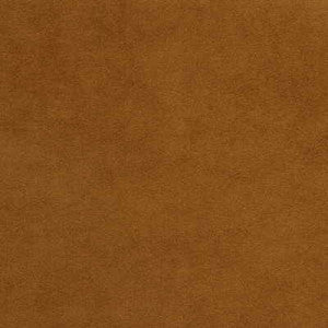 Ultrasuede Bridle by Kravet Design Designer Fabric
