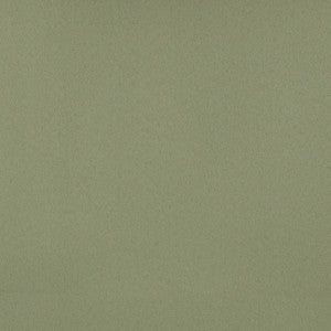 Umbra Sage by Magnolia Designer Fabric