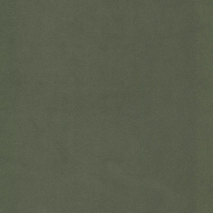 University 2 Moss by Stout Fabric Stout Fabric University 2 MossFabric SOLID VELVETS PLUSH PALETTE 100%POL CHINA </p><p>Repeat: H: 0.000, V: 0.000 60 in - Fabric Carolina -
