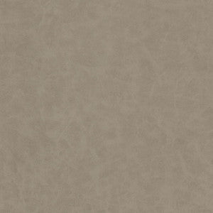 Unveil 1 Ash by Stout Designer Fabric