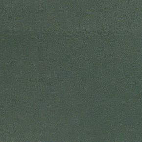 Ultra Racing Green SUL-022 by Burch Designer Fabric See sample 100% Polyurethane USA or Imported Water-based cleaning agents and foam may be used for cleaning. Cleaning by a professional cleaning service is recommended.  54  - Swanky Fabrics -