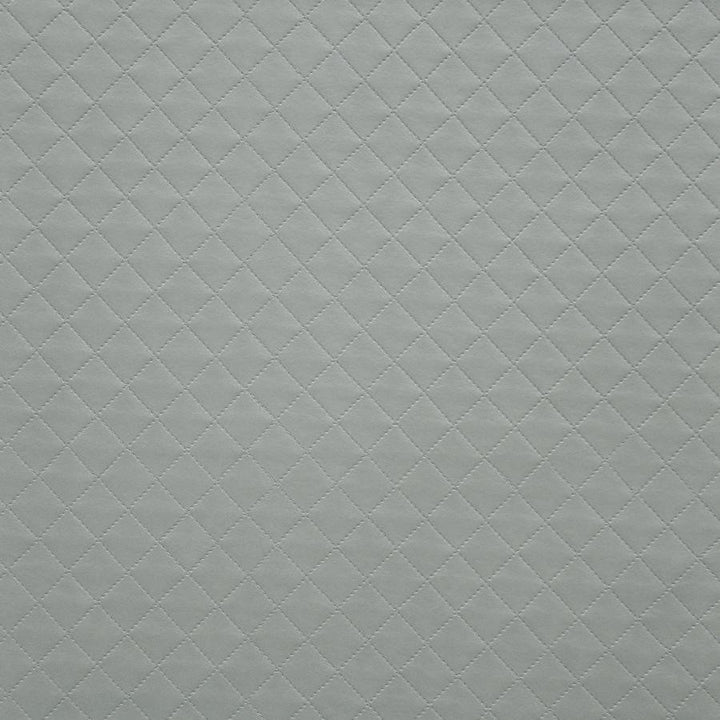 Voila # 205 Spa by Maxwell Designer Fabric Easy Rider V 100% PVC TAIWAN V&H-1.5" 54" - Swanky Fabrics -