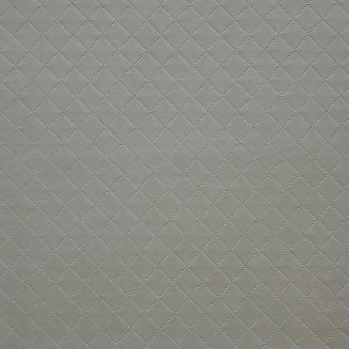 Voila # 248 Mica by Maxwell Designer Fabric Easy Rider V 100% PVC TAIWAN V&H-1.5" 54" - Swanky Fabrics -