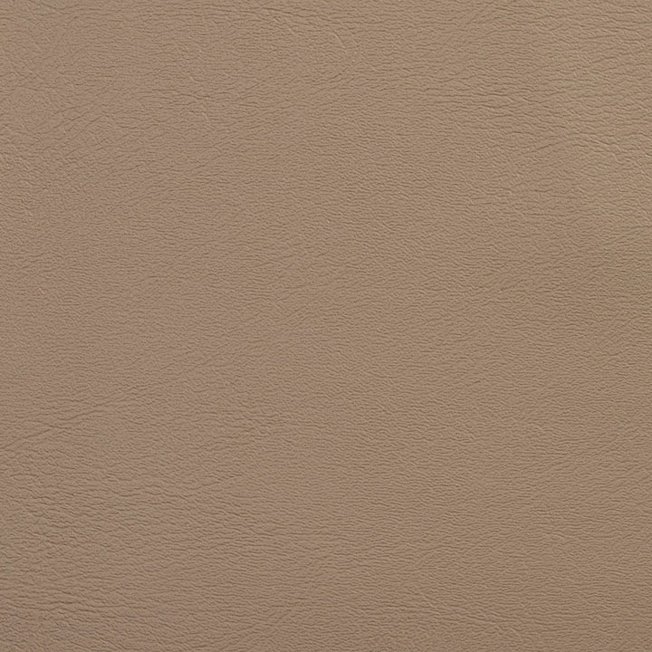 V109 Sandstone by Charlotte Designer Fabric Value Vinyl 100% Vinyl, 29oz. Lead Free Asia Exceeds 100,000 Wyzenbeek Rubs (Heavy Duty) No Repeat 54 Inches - Swanky Fabrics -