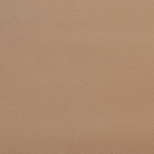 V143 Sandalwood by Charlotte Designer Fabric