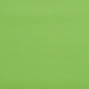 V164 Lime by Charlotte Designer Fabric