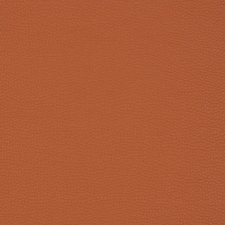 V203 Sienna by Charlotte Designer Fabric UltraHyde III Face: Vinyl/Polyurethane, Back: Polyester Microsuede, 29oz. Asia Exceeds 200,000 Wyzenbeek Rubs (Heavy Duty) No Repeat 54 Inches - Swanky Fabrics -