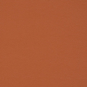 V203 Sienna by Charlotte Designer Fabric