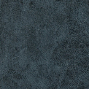 V204 Denim by Charlotte Designer Fabric