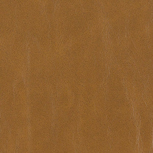 V214 Hazelnut by Charlotte Designer Fabric
