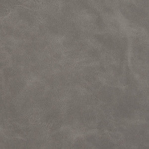 V218 Slate by Charlotte Designer Fabric