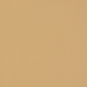 V229 Beach by Charlotte Designer Fabric