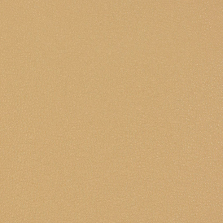 V229 Beach by Charlotte Designer Fabric UltraHyde III Face: Vinyl/Polyurethane, Back: Polyester Microsuede, 29oz. Asia Exceeds 200,000 Wyzenbeek Rubs (Heavy Duty) No Repeat 54 Inches - Swanky Fabrics -