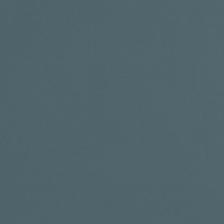 V279 Coastal by Charlotte Designer Fabric Contract Vinyl 100% Virgin Vinyl, 34oz. Costa Rica Exceeds 200,000 Wyzenbeek Rubs (Heavy Duty) No Repeat 54 Inches - Swanky Fabrics -