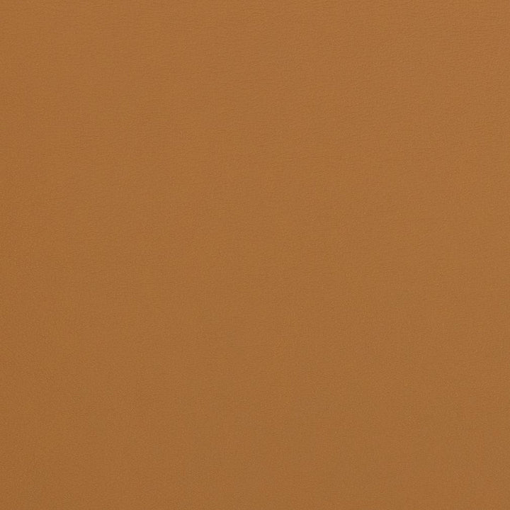 V280 Sable by Charlotte Designer Fabric Contract Vinyl 100% Virgin Vinyl, 34oz. Costa Rica Exceeds 200,000 Wyzenbeek Rubs (Heavy Duty) No Repeat 54 Inches - Swanky Fabrics -