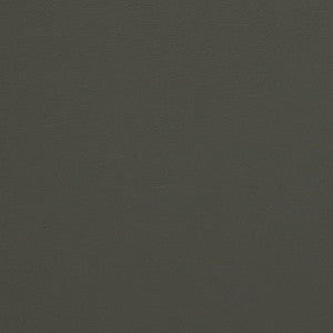 V281 Charcoal by Charlotte Designer Fabric