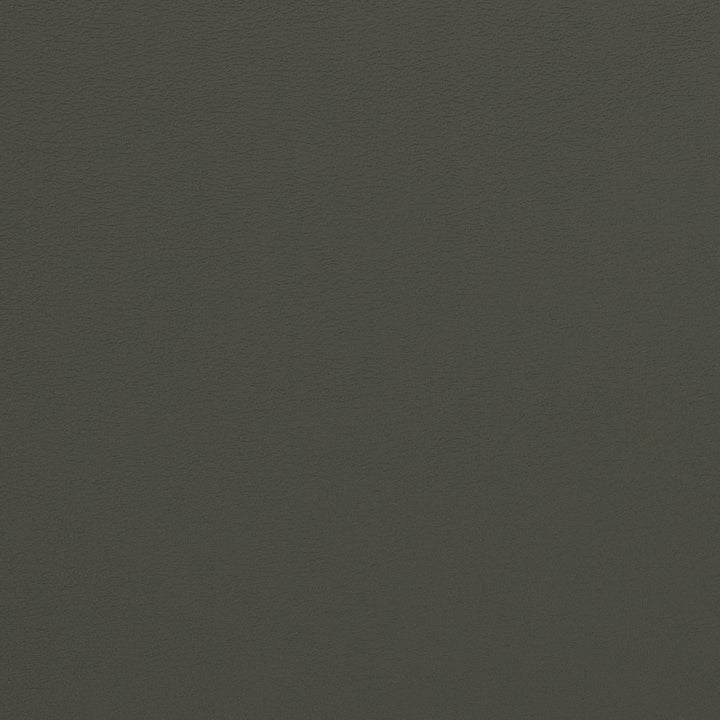 V281 Charcoal by Charlotte Designer Fabric Contract Vinyl 100% Vinyl, 34oz. Costa Rica Exceeds 200,000 Wyzenbeek Rubs (Heavy Duty) </p><p>Repeat: 54 Inches - Swanky Fabrics -