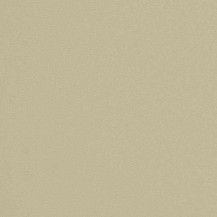 V282 Concrete by Charlotte Designer Fabric Contract Vinyl 100% Virgin Vinyl, 34oz. Costa Rica Exceeds 200,000 Wyzenbeek Rubs (Heavy Duty) No Repeat 54 Inches - Swanky Fabrics -