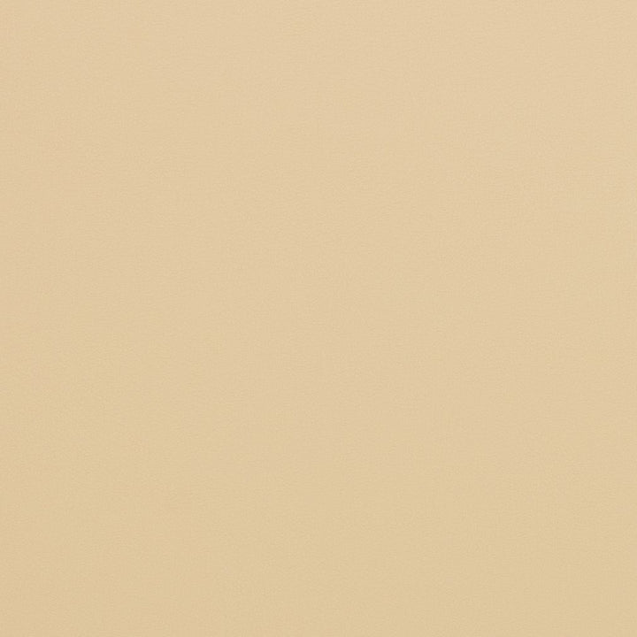 V286 Beach by Charlotte Designer Fabric Contract Vinyl 100% Virgin Vinyl, 34oz. Costa Rica Exceeds 200,000 Wyzenbeek Rubs (Heavy Duty) No Repeat 54 Inches - Swanky Fabrics -