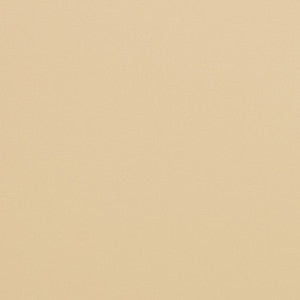 V286 Beach by Charlotte Designer Fabric