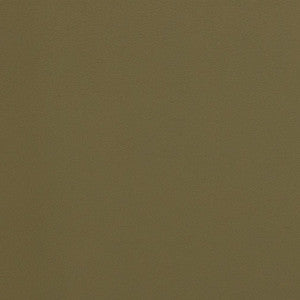 V300 Olive by Charlotte Designer Fabric