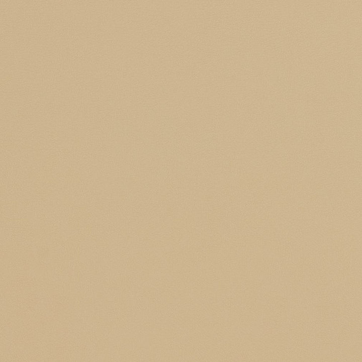 V301 Natural by Charlotte Designer Fabric Contract Vinyl 100% Virgin Vinyl, 34oz. Costa Rica Exceeds 200,000 Wyzenbeek Rubs (Heavy Duty) No Repeat 54 Inches - Swanky Fabrics -