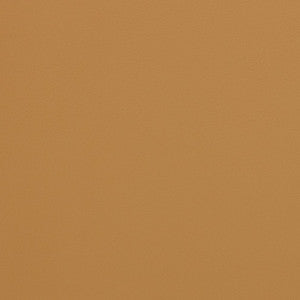 V306 Palomino by Charlotte Designer Fabric