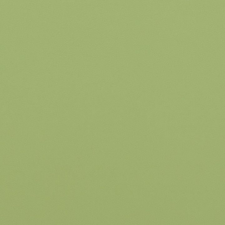 V307 Meadow by Charlotte Designer Fabric Contract Vinyl 100% Virgin Vinyl, 34oz. Costa Rica Exceeds 200,000 Wyzenbeek Rubs (Heavy Duty) No Repeat 54 Inches - Swanky Fabrics -
