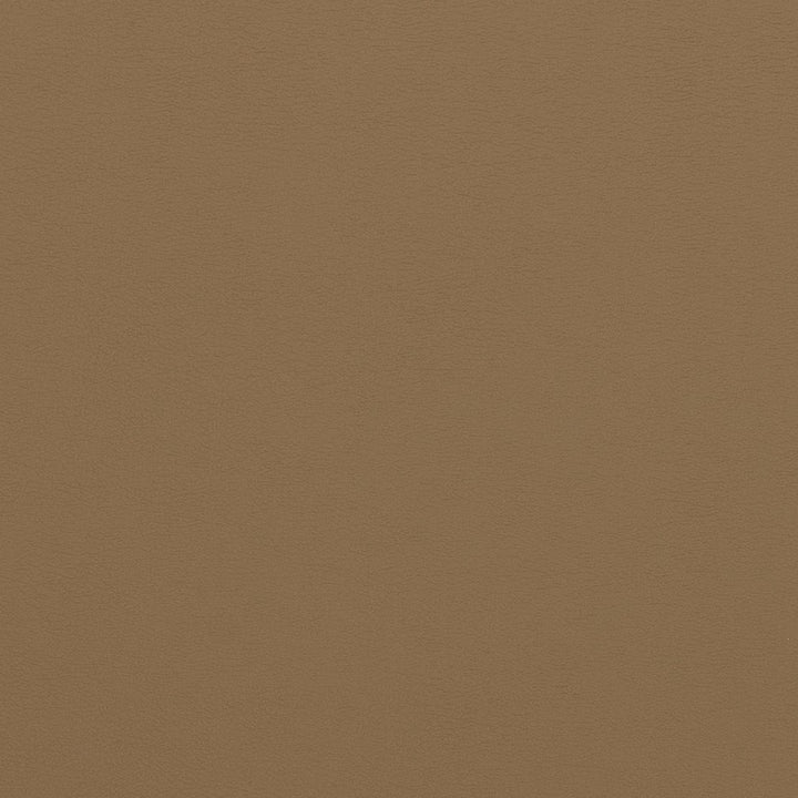 V310 Latte by Charlotte Designer Fabric Contract Vinyl 100% Virgin Vinyl, 34oz. Costa Rica Exceeds 200,000 Wyzenbeek Rubs (Heavy Duty) No Repeat 54 Inches - Swanky Fabrics -