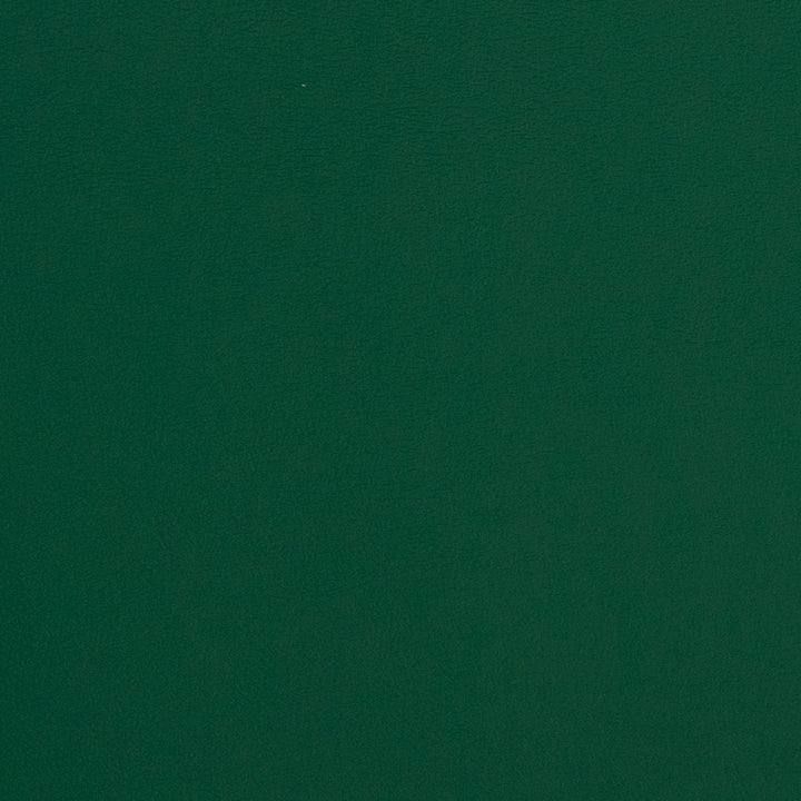 V312 Evergreen by Charlotte Designer Fabric Contract Vinyl 100% Virgin Vinyl, 34oz. Costa Rica Exceeds 200,000 Wyzenbeek Rubs (Heavy Duty) No Repeat 54 Inches - Swanky Fabrics -