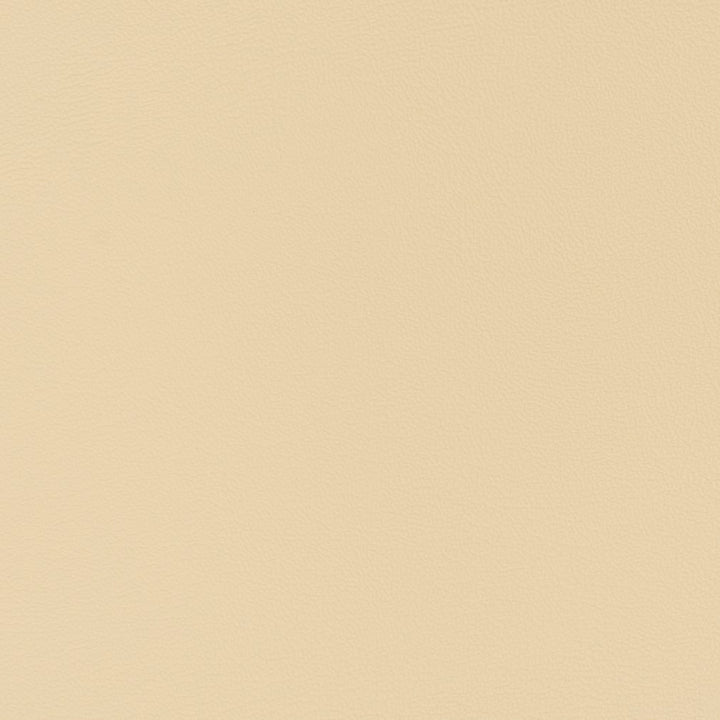 V333 Cream by Charlotte Designer Fabric Automotive Vinyl 100% Virgin Vinyl, 30oz. Asia Exceeds 220,000 Wyzenbeek Rubs (Heavy Duty) No Repeat 54 Inches - Swanky Fabrics -